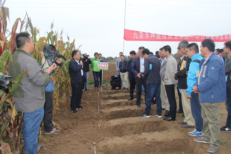旱作玉米密植增产全程机械化及籽?；障殖」勰涣骰幔ㄈ?>
                <img src=